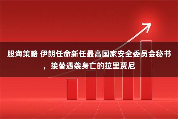 股海策略 伊朗任命新任最高国家安全委员会秘书，接替遇袭身亡的拉里贾尼