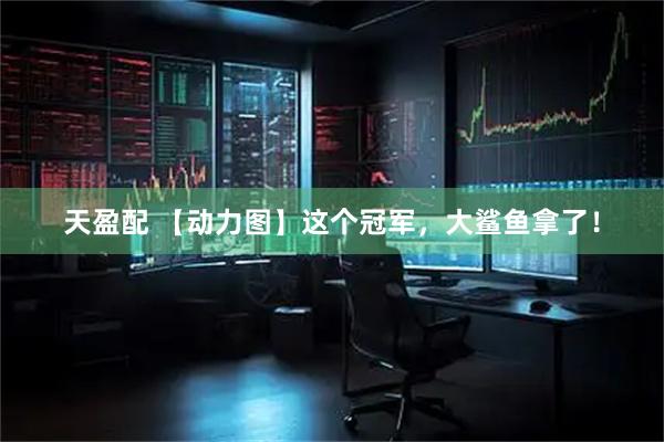 天盈配 【动力图】这个冠军，大鲨鱼拿了！