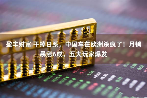 盈丰财富 干掉日系,中国车在欧洲杀疯了!月销暴涨6成,五大玩家爆发