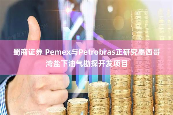 蜀商证券 Pemex与Petrobras正研究墨西哥湾盐下油气勘探开发项目