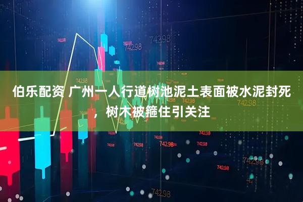 伯乐配资 广州一人行道树池泥土表面被水泥封死，树木被箍住引关注